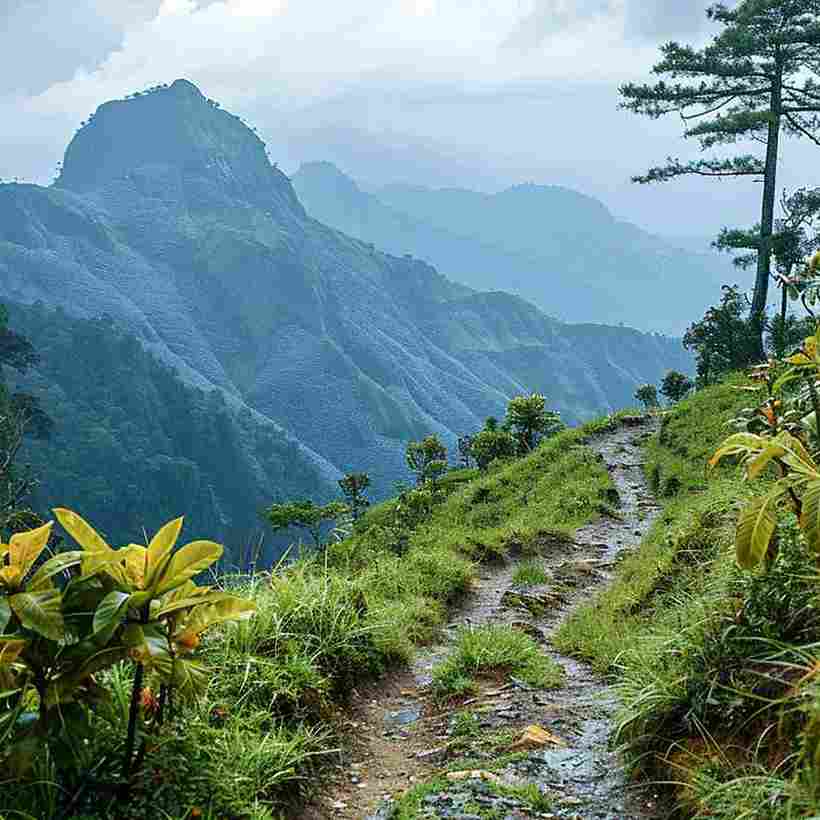 Mizoram