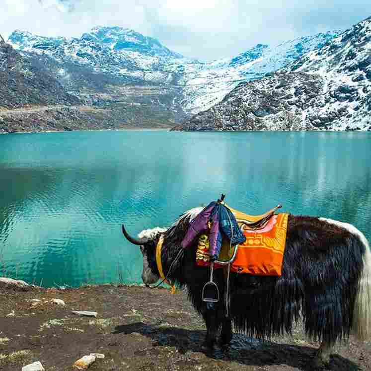 Sikkim