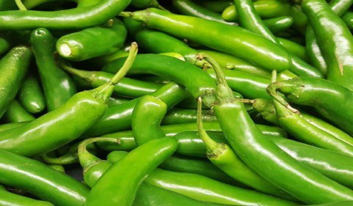 Green Chilli