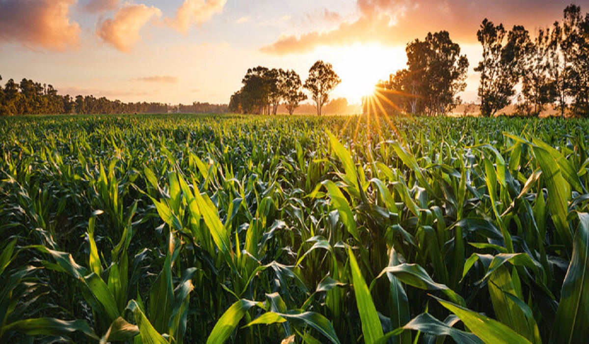 Green Land Agro Catalogue Banner