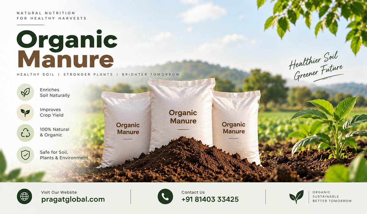Organic Manure