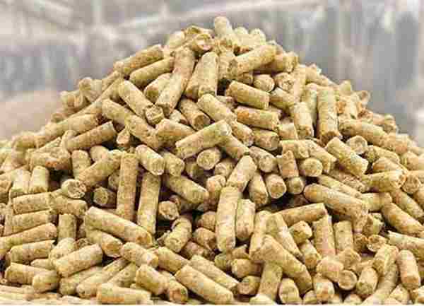 Cattle Feed