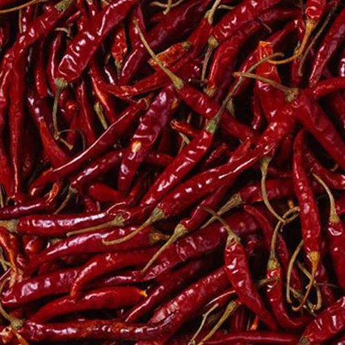 RED CHILLI