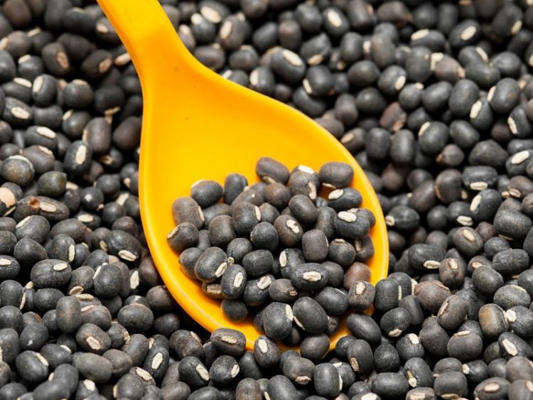 Urad dal