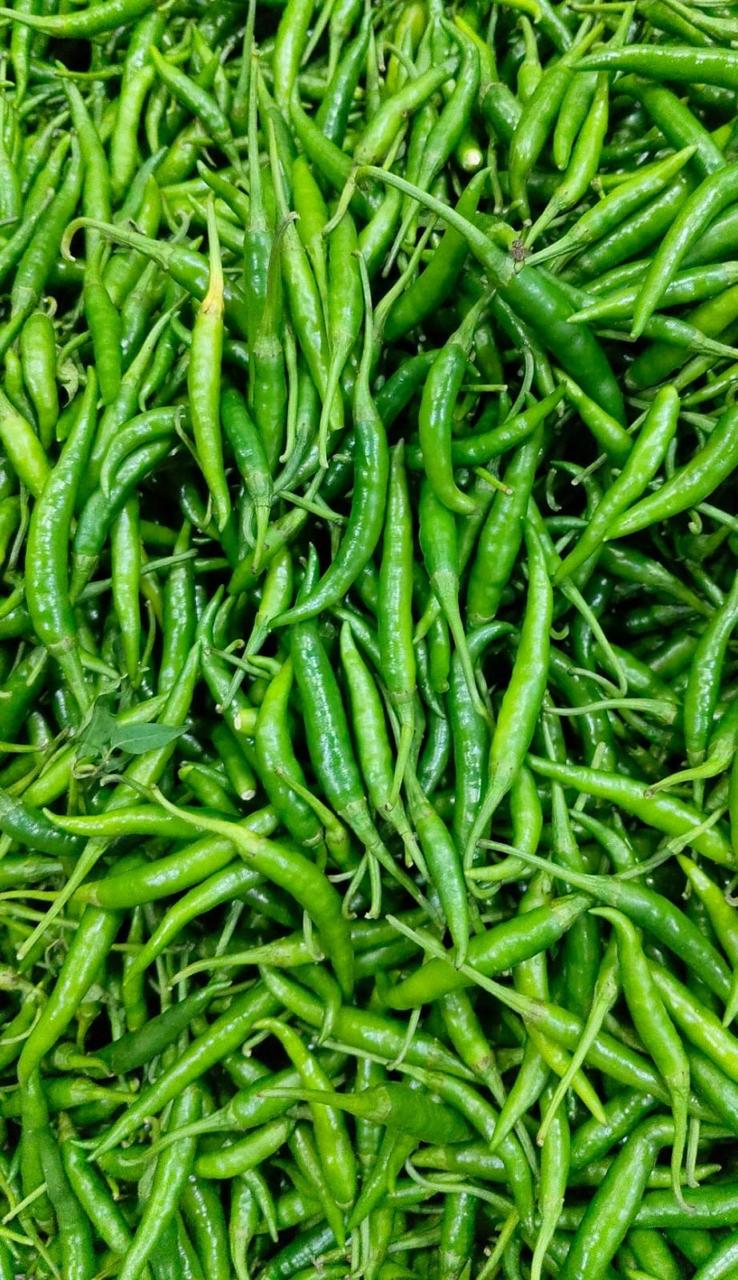Green Chilli