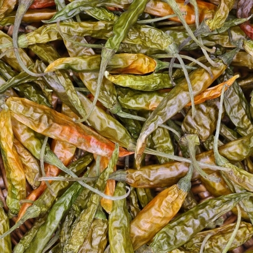 Dry Green Chilli