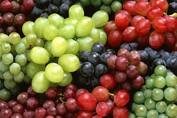 Grapes