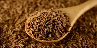 Cumin  Seeds