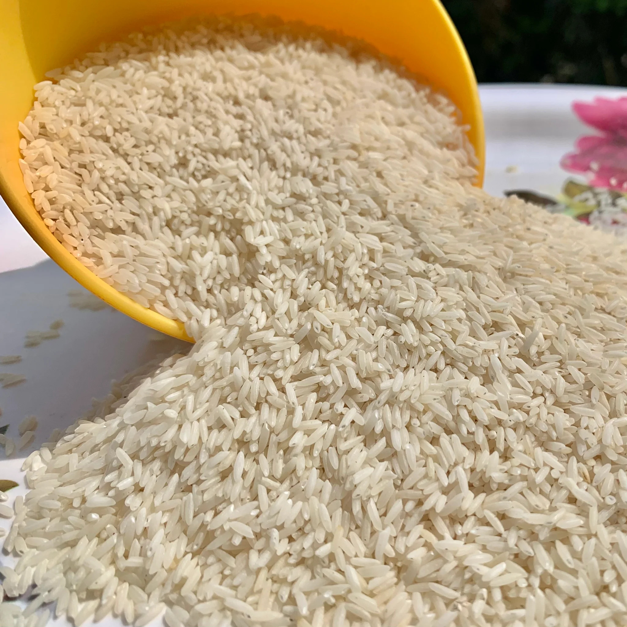 JSR Steam Sona Rice 