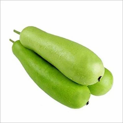 Bottle Gourd 