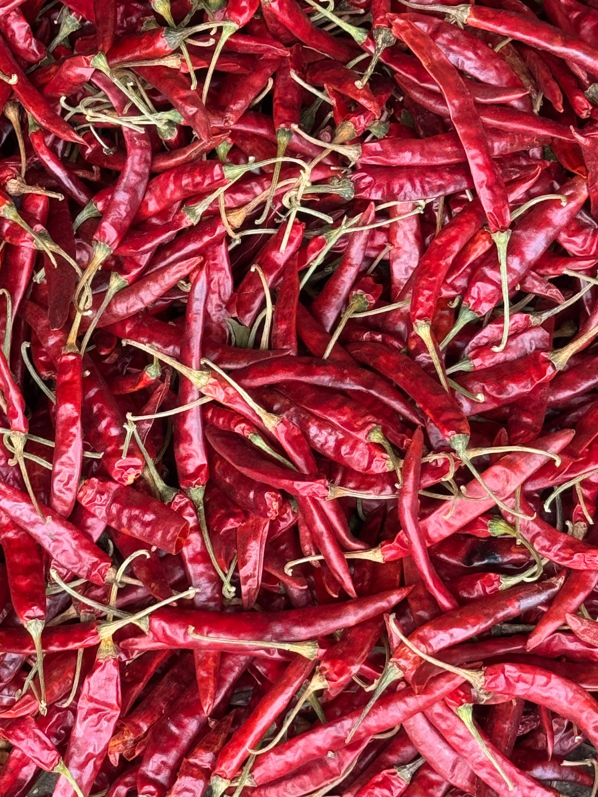 teja S17 red chilli super deluxe