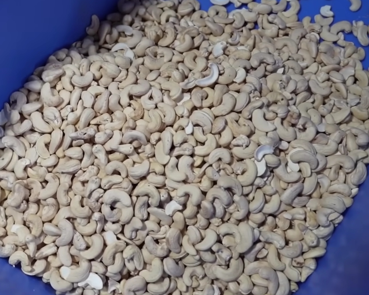 cashews