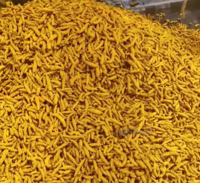 Turmeric Fingers 