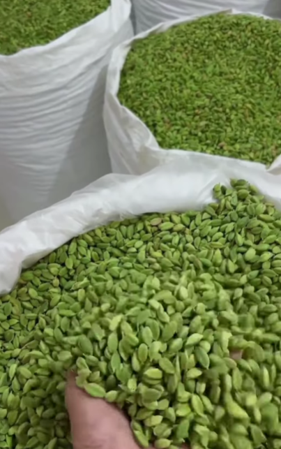 Green Cardamom