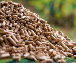 Biomass Pellets