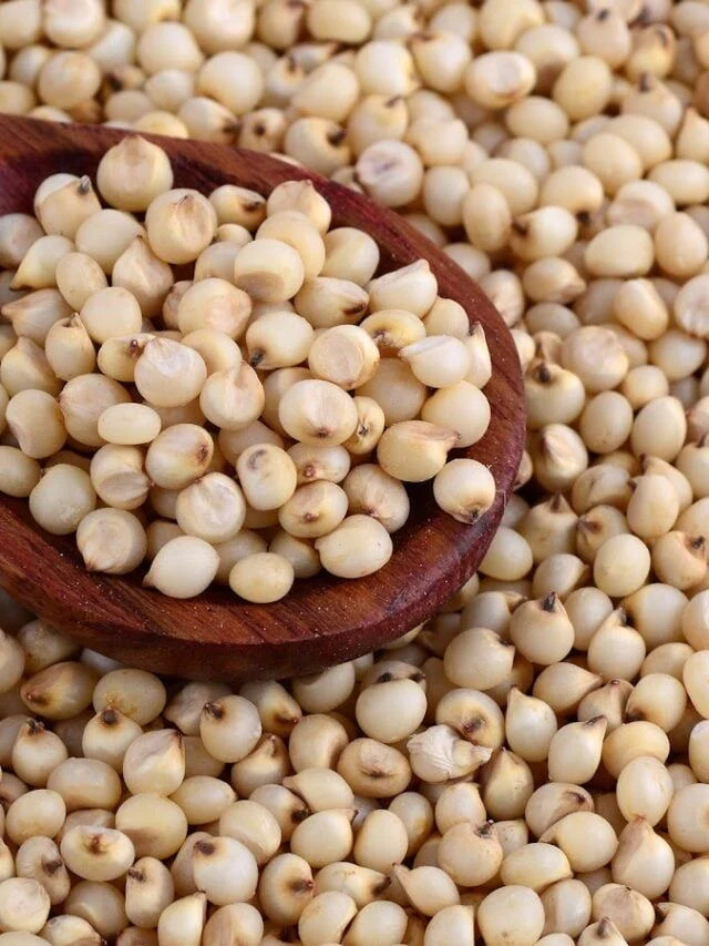 Jowar