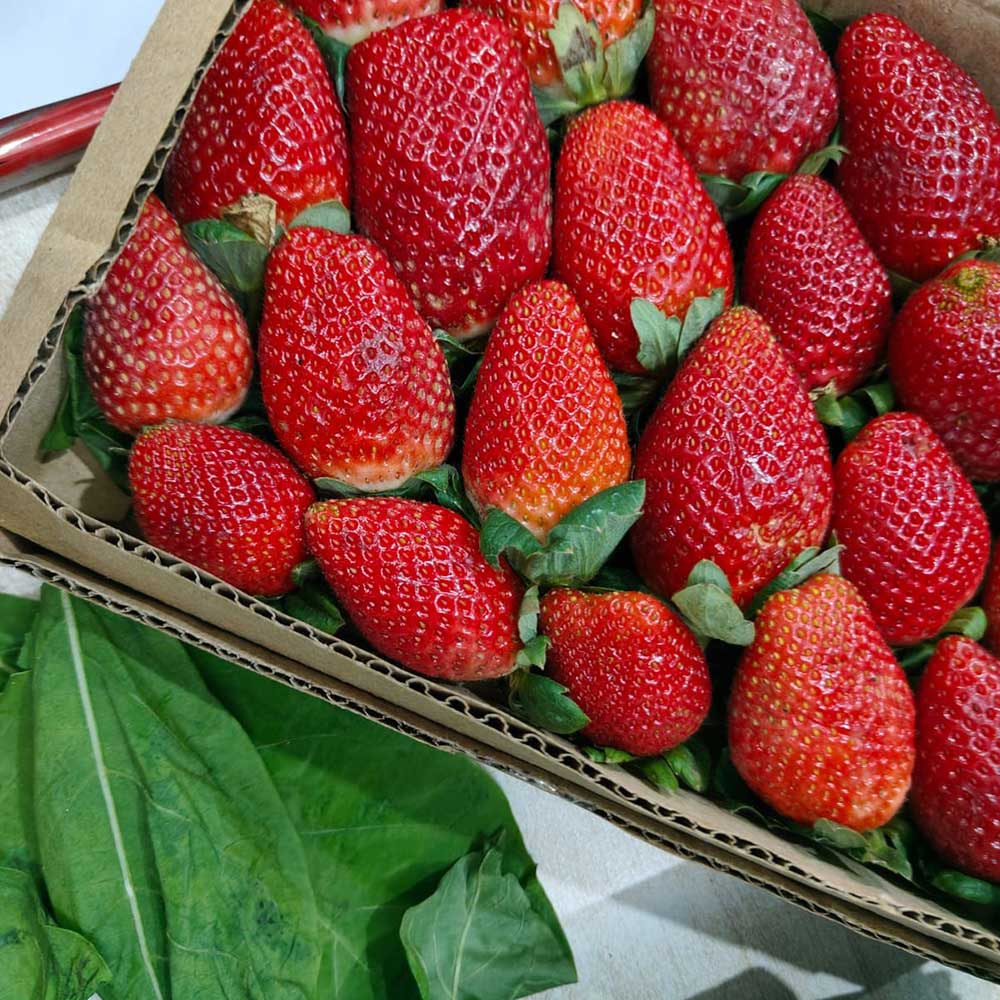Natural Organic Strawberries