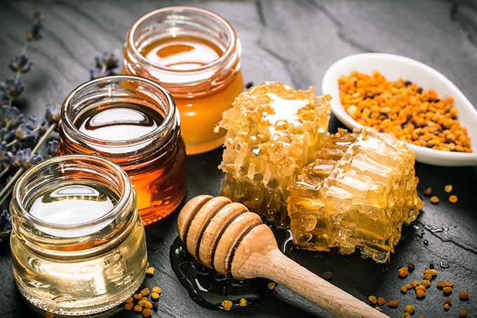 Organic Honey